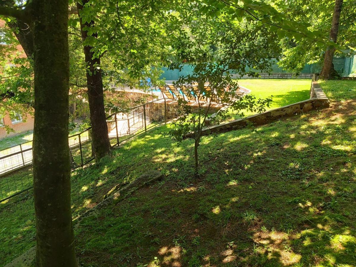 Apartamentos La Francesa Santa Pau Exteriér fotografie